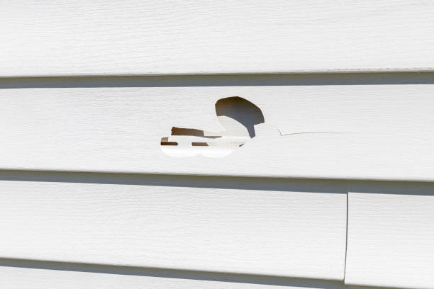 Best Siding Removal and Disposal  in Nelsonville, OH