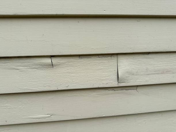 Best Aluminum Siding Installation  in Nelsonville, OH